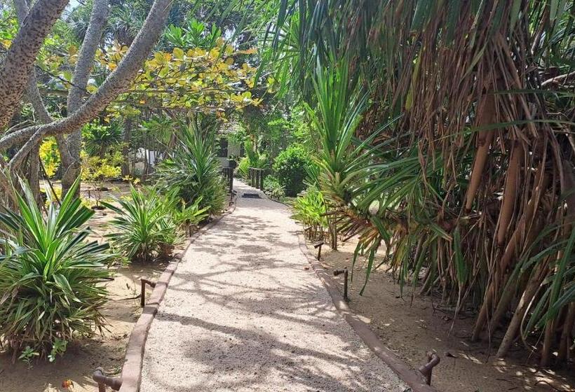 Puetz Travels Beach Resort