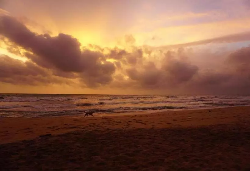 Puetz Travels Beach Resort
