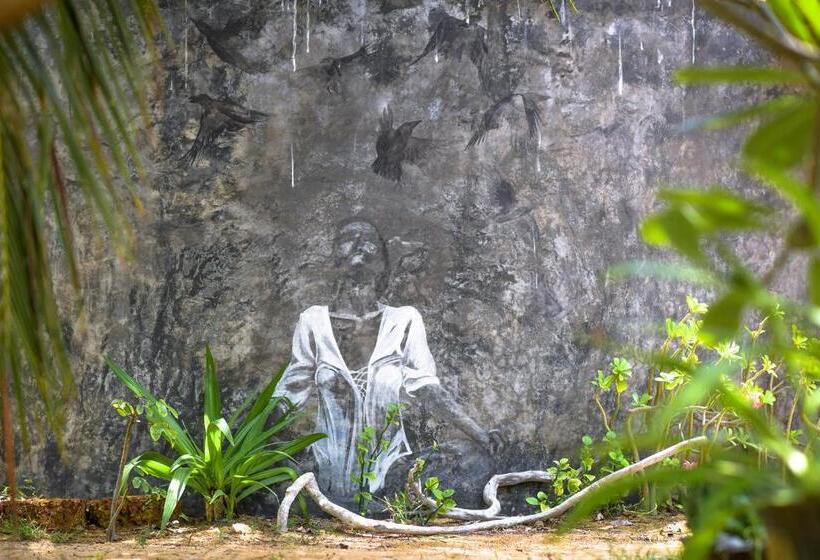 Курорт Kitesurfing Lanka