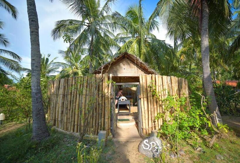 Курорт Kitesurfing Lanka