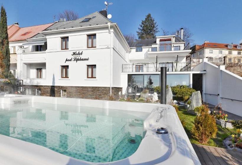 هتل Wellness & Spa Boutique Pod Lipkami Prague