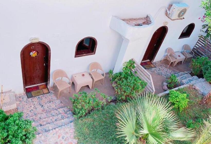 هاستل Club Red Dahab Motel