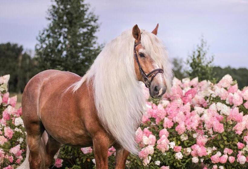 Harmony Park Hotel & Spa