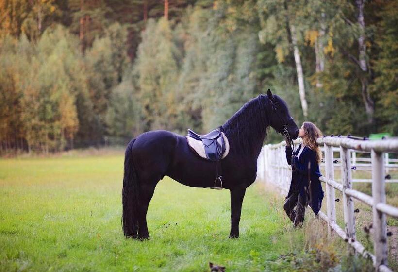 Harmony Park Hotel & Spa