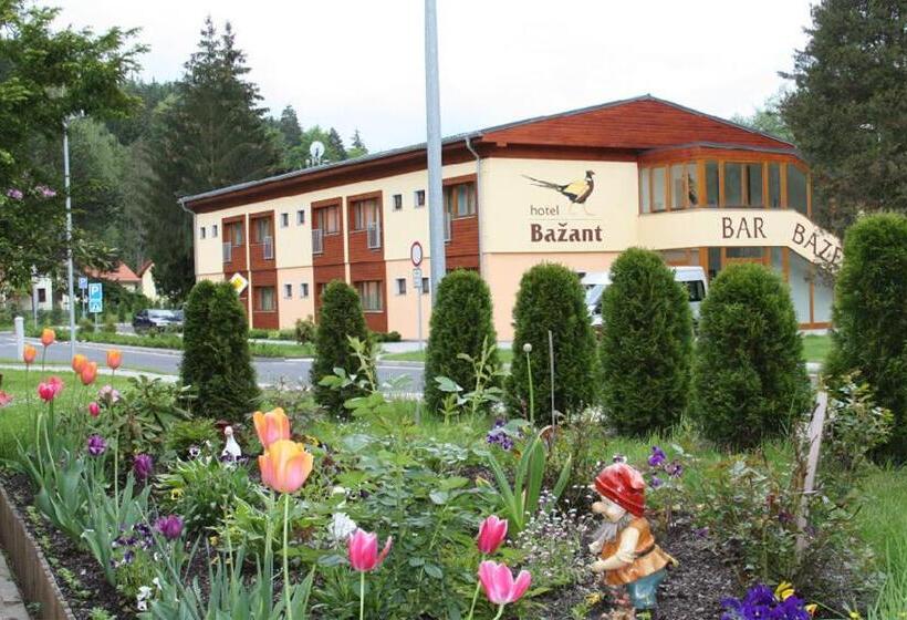 هتل Bazant
