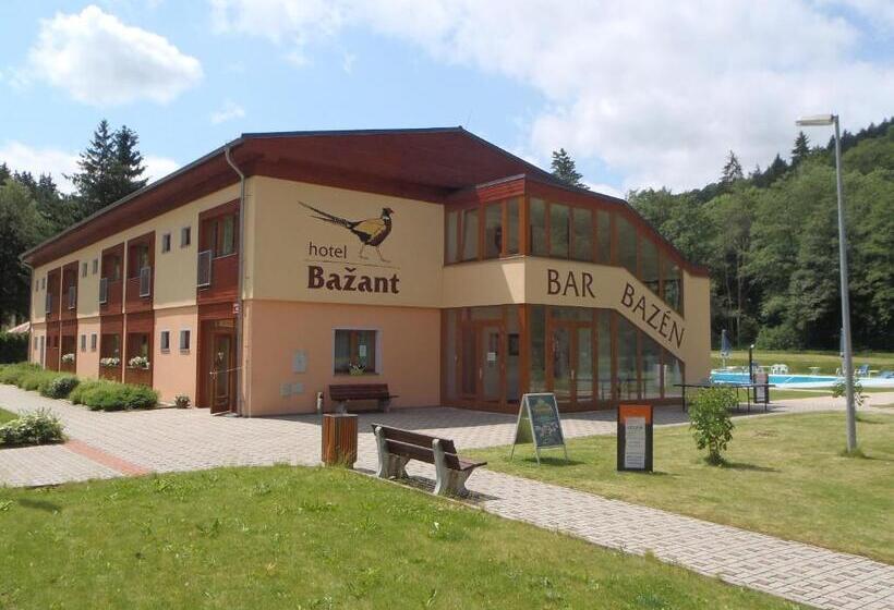 هتل Bazant