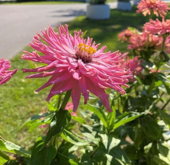 בית מלון כפרי Höllviksnäs Möten Mat Logi