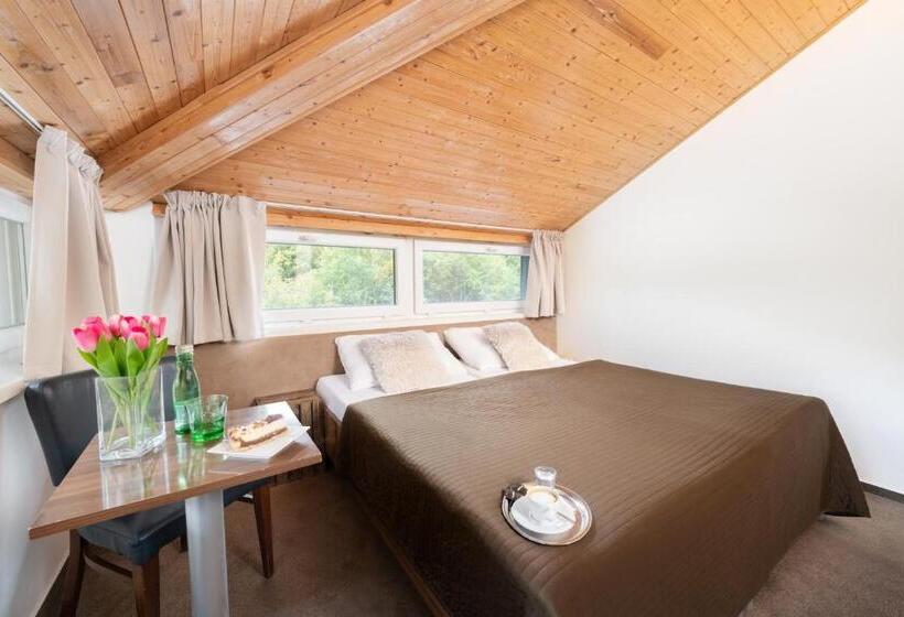 בית מלון כפרי U šuláka