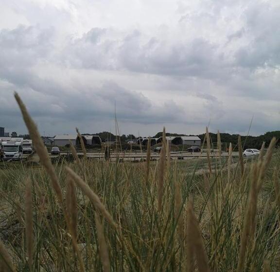 אתר נופש Apelvikstrand