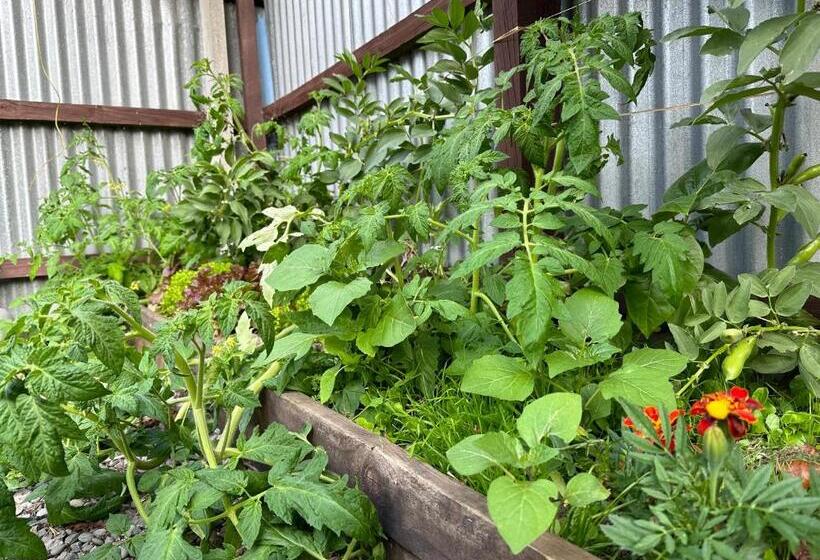 旅馆 Around The World Backpackers