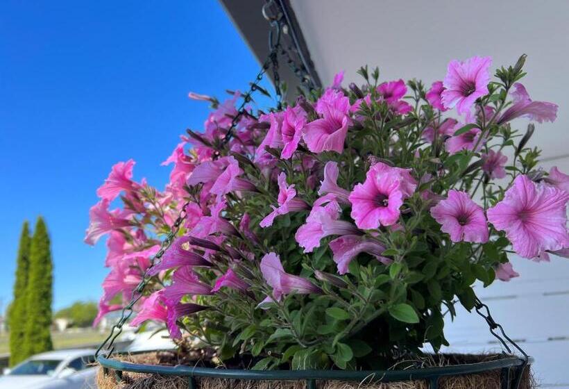 Ashbrook Motel Taupo