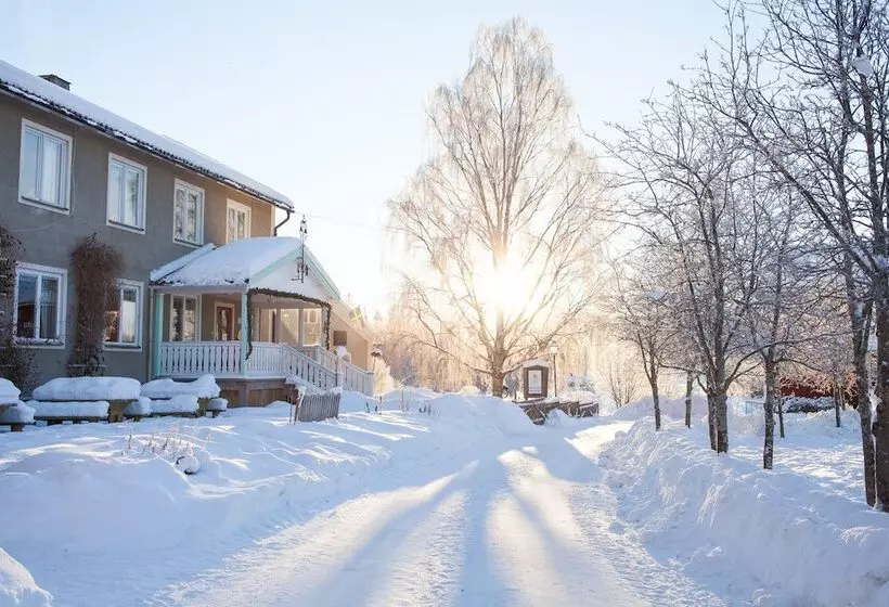 Aamiaismajoitus (B&B) Helsingegården