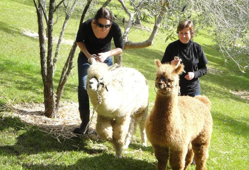 צימר Riverside Homestead