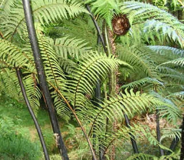 צימר Riverside Homestead