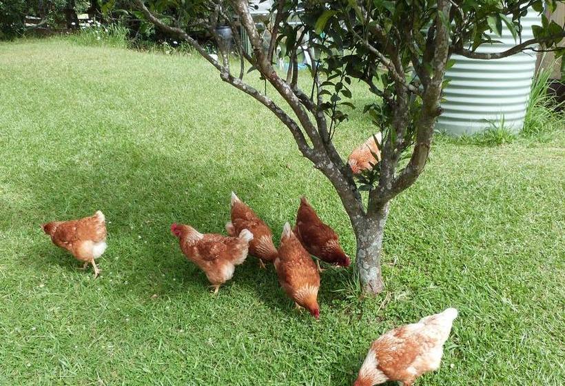 צימר Riverside Homestead