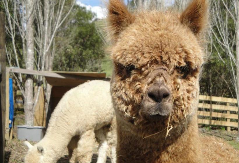 צימר Riverside Homestead