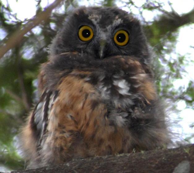 צימר Riverside Homestead