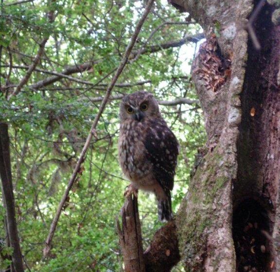 צימר Riverside Homestead