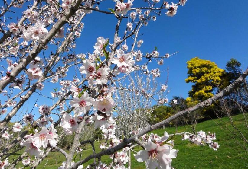 צימר Pine Hill Lodge