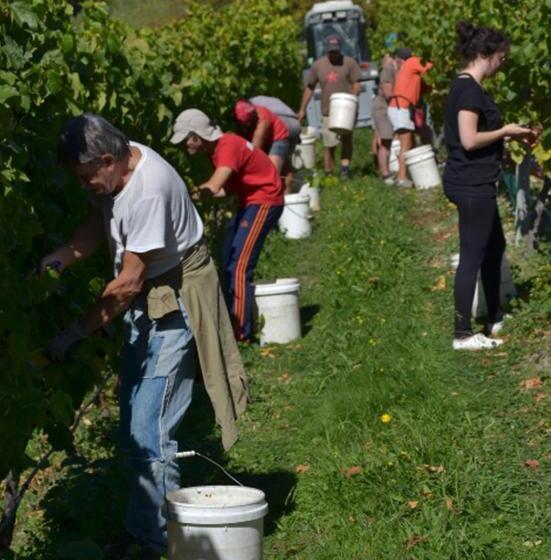 צימר Pine Hill Lodge