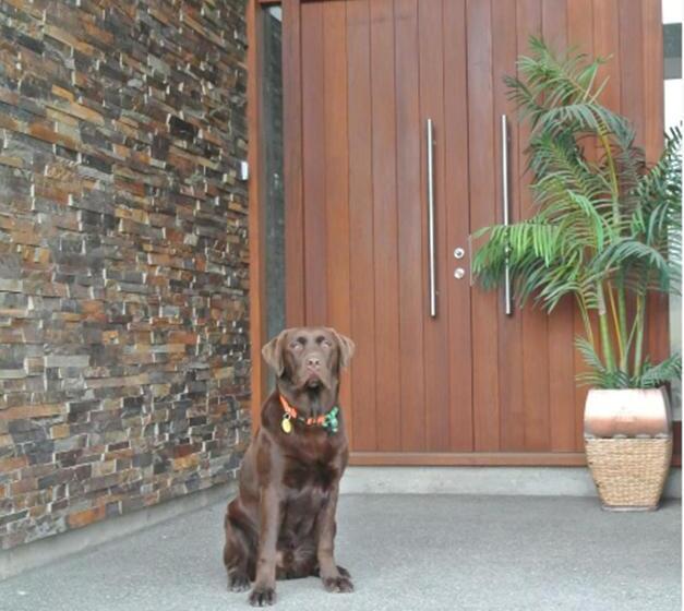 Bed and Breakfast Pine Hill Lodge