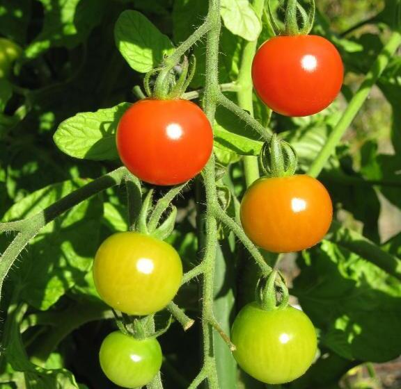 مبيت وإفطار Twin Waters Lodge