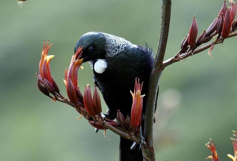 مبيت وإفطار Twin Waters Lodge