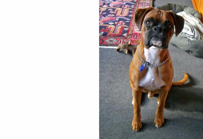 مبيت وإفطار Twin Waters Lodge