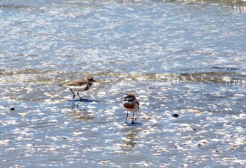 مبيت وإفطار Twin Waters Lodge