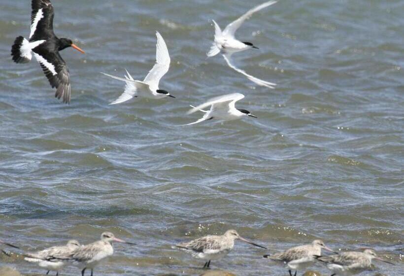 مبيت وإفطار Twin Waters Lodge