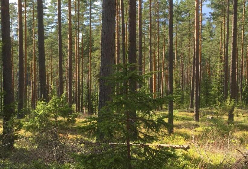 Bed and Breakfast Vintergatans Rum