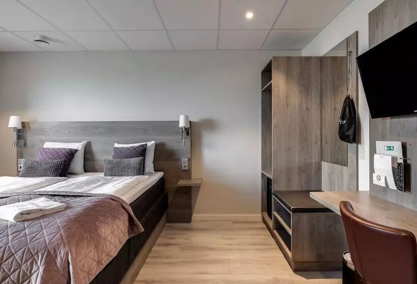 Dream  Luxury Hostel