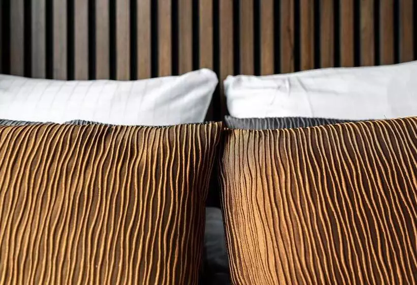 Dream  Luxury Hostel