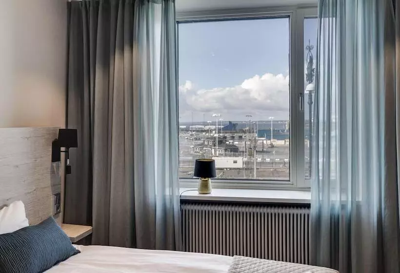 Dream  Luxury Hostel