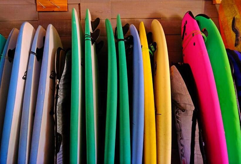 Freesurfcamp & Hostel