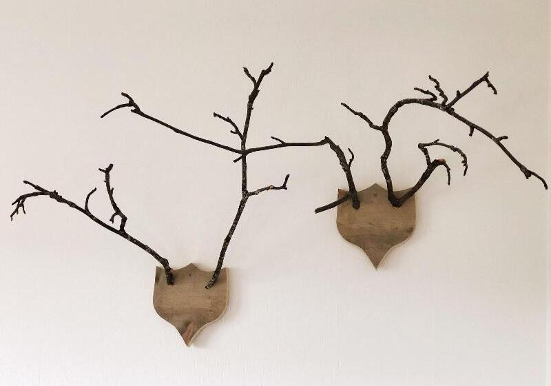 בית מלון כפרי L åre Fjällsätra