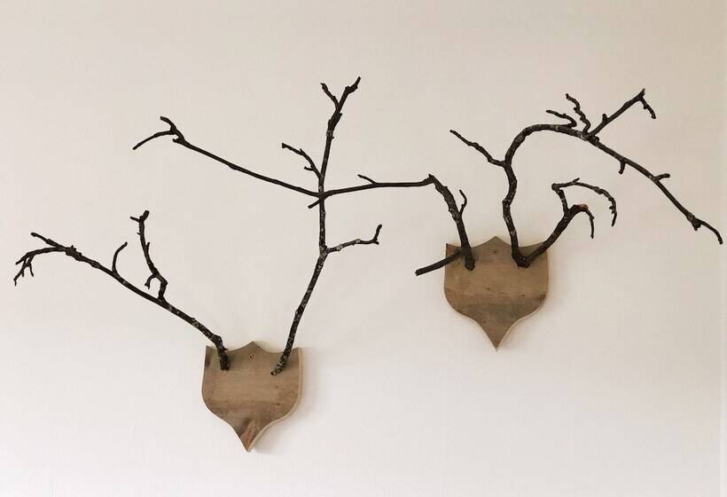 בית מלון כפרי L åre Fjällsätra