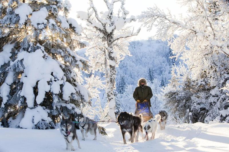 בית מלון כפרי L åre Fjällsätra