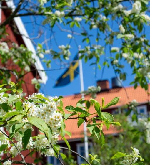 ホテル Skeviks Gård