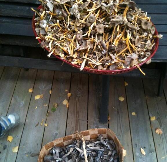 Tvetagårdens Vandrarhem