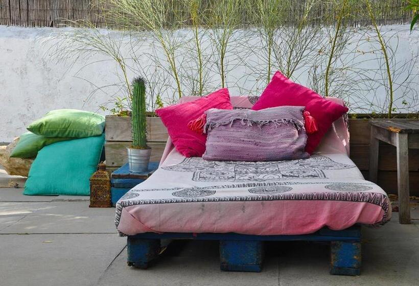 هاستل Aloha Beach House H