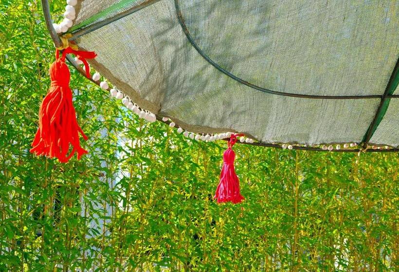 هاستل Aloha Beach House H