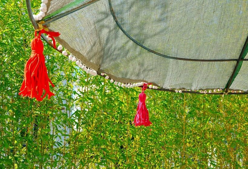 هاستل Aloha Beach House H