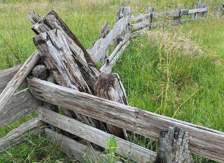 تختخواب و صبحانه Thuis Op Texel