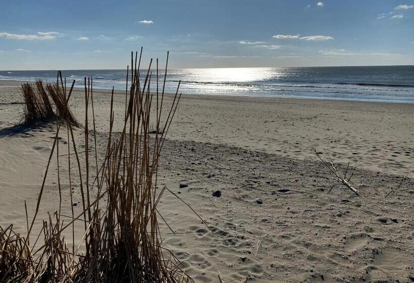 تختخواب و صبحانه Thuis Op Texel