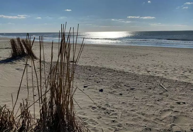 تختخواب و صبحانه Thuis Op Texel