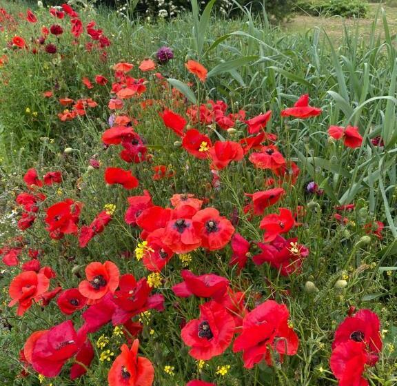 تختخواب و صبحانه Thuis Op Texel