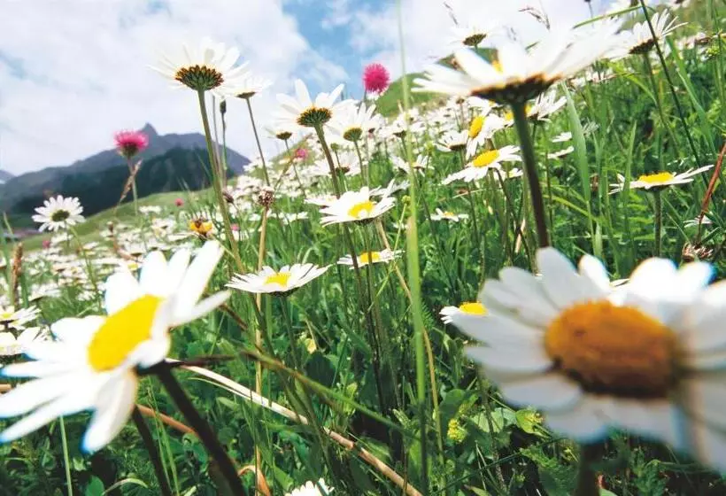 ホテル Garni Muttler Alpinresort & Spa