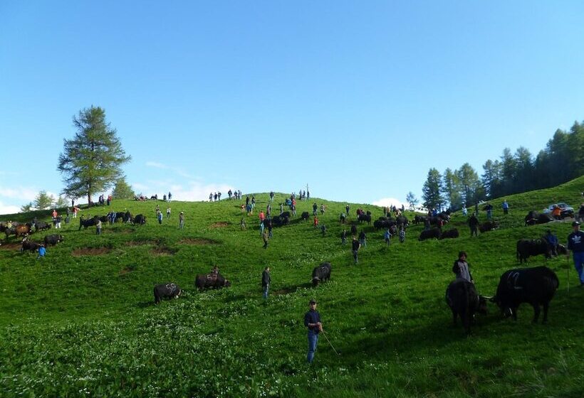酒店 Hôtel De Charme La Poste