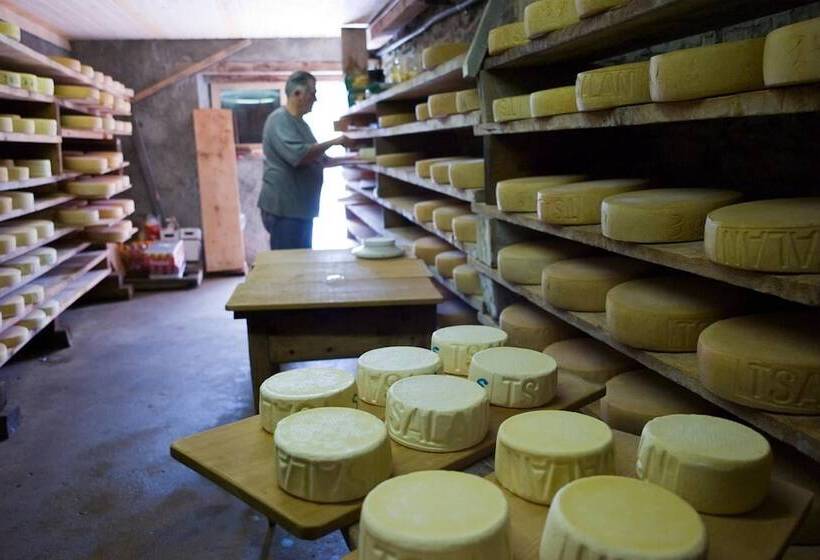 酒店 Hôtel De Charme La Poste